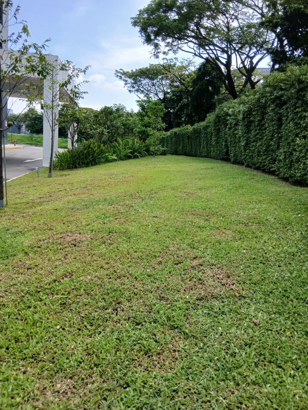 Commercial Landscaping 