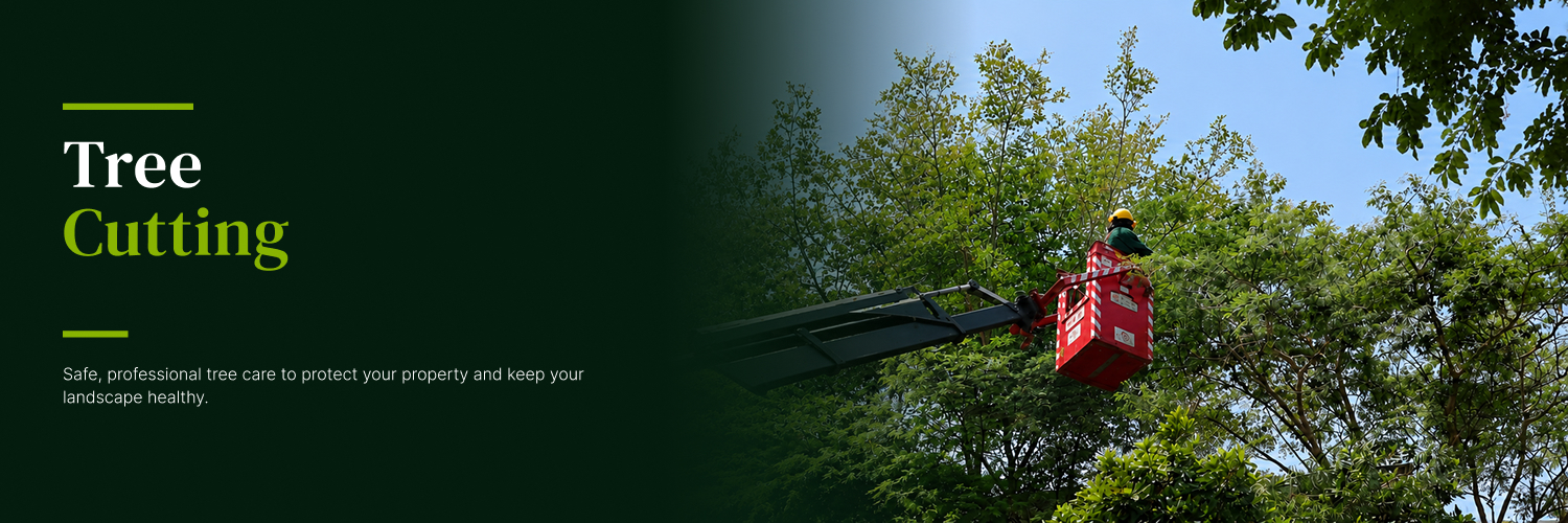 Tree Cutting and Pruning