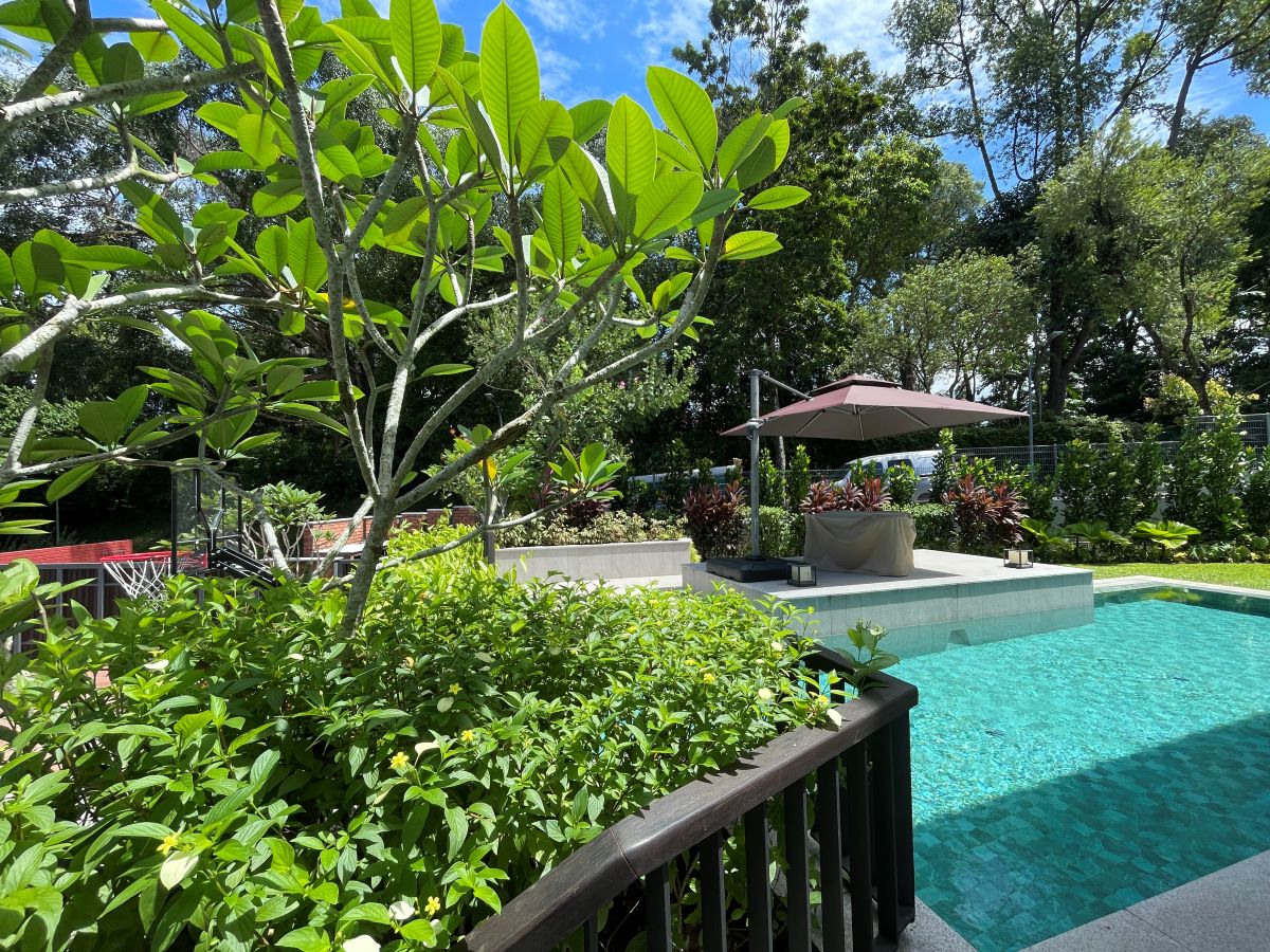 Landscape Design and Construction
