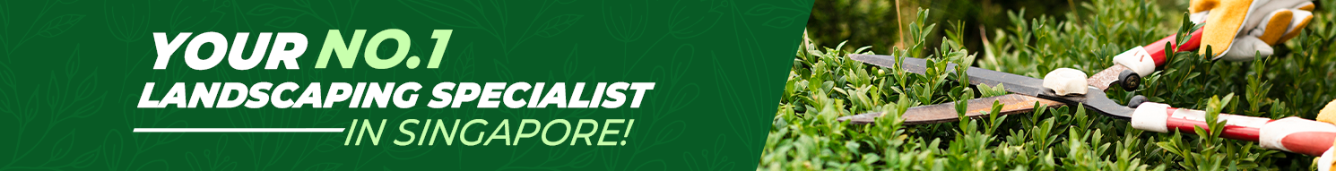 Landscaping Services Singapore