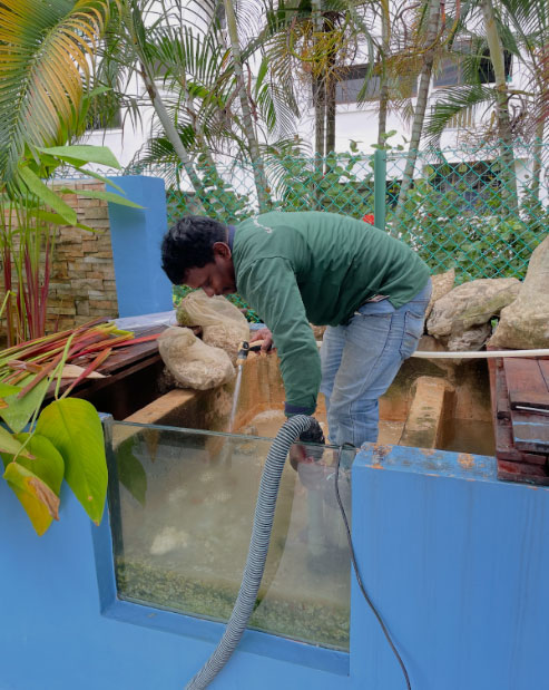 Pond Maintenance Singapore