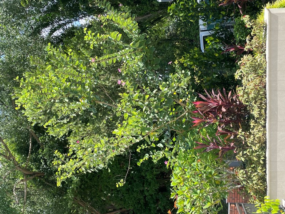 Landscape Design and Construction 