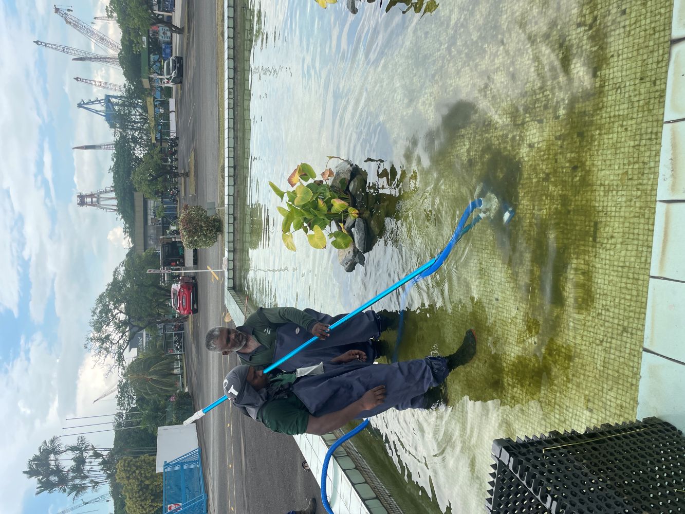 Pond Maintenance 