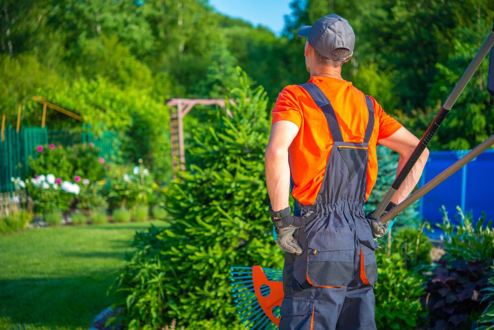 Singapore landscaping services