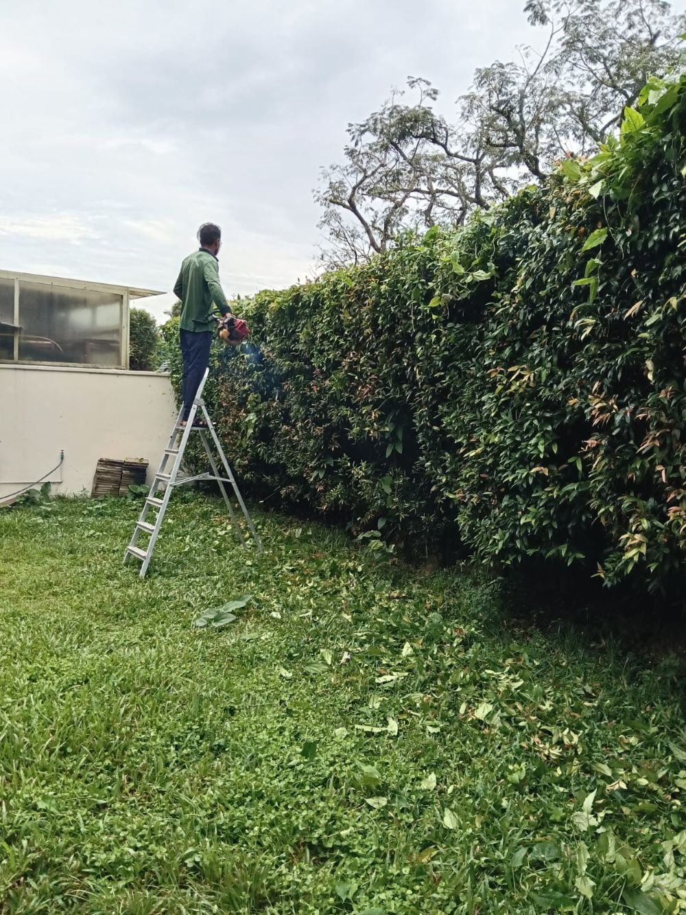 Private Residential Landscape Maintenance 