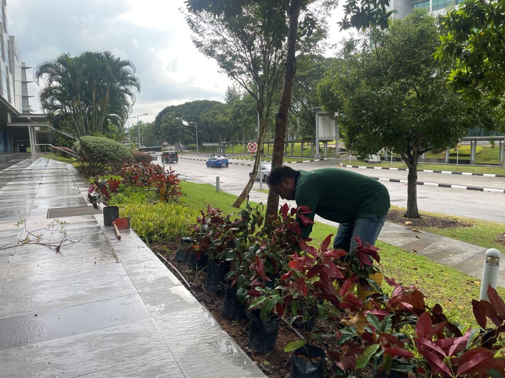 Landscape Design and Construction 