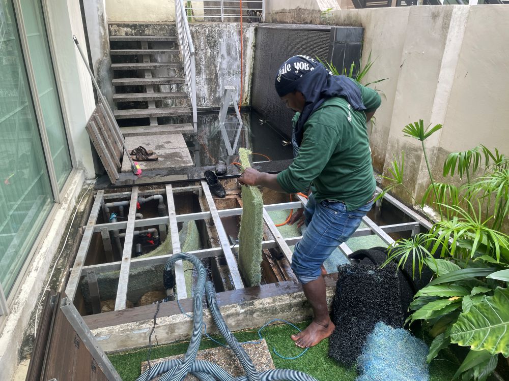 Pond Maintenance 