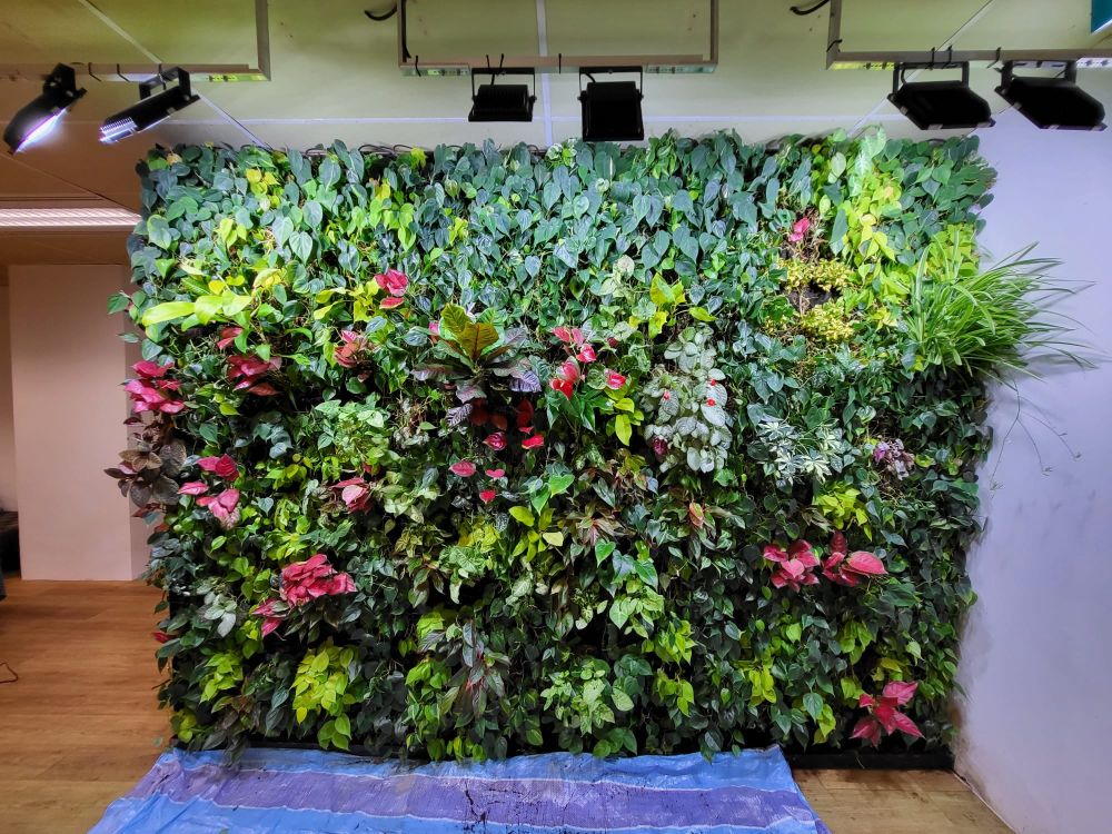 Vertical Green Wall