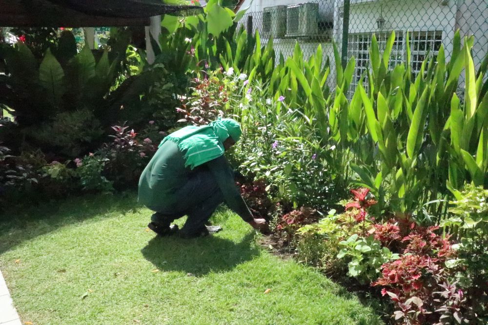 Private Residential Landscape Maintenance 