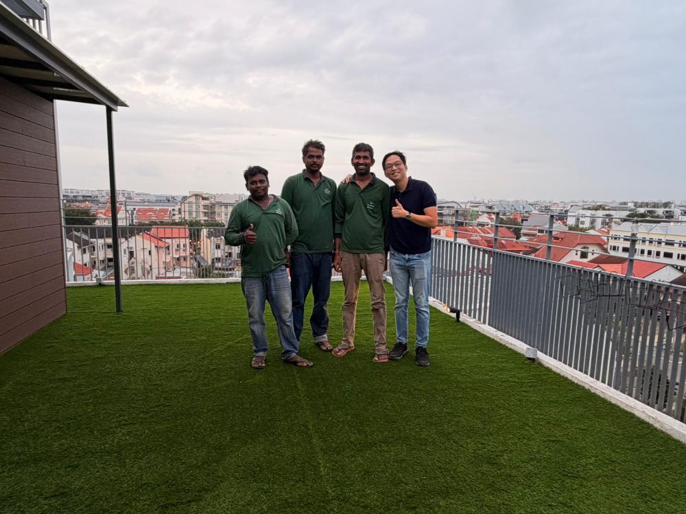 Artificial Grass