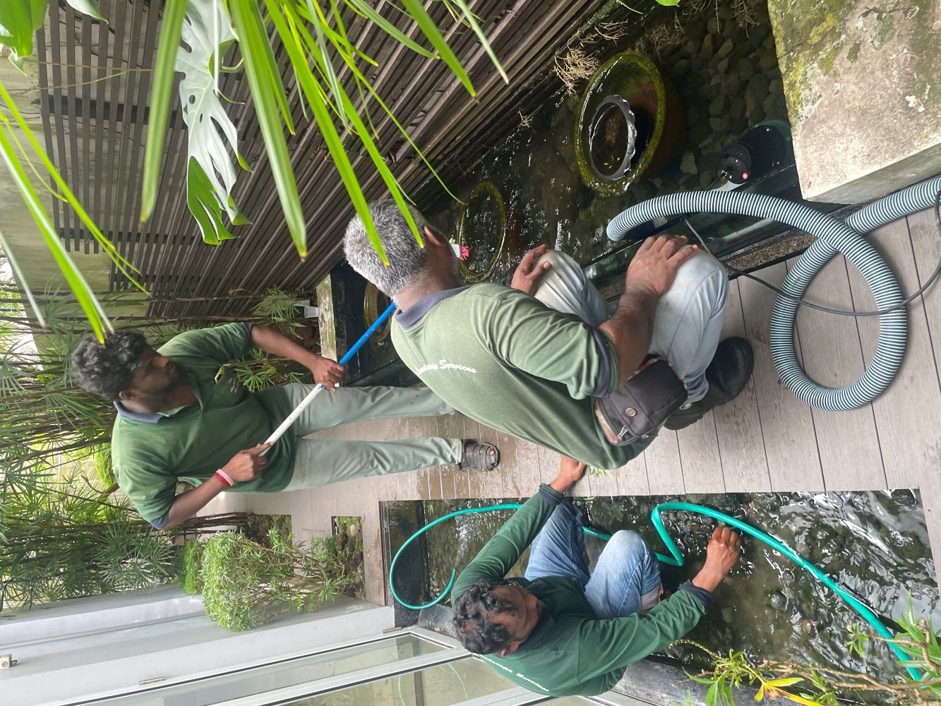 Pond Maintenance
