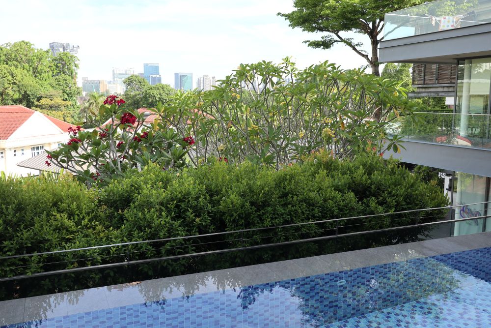 Private Residential Landscape Maintenance 