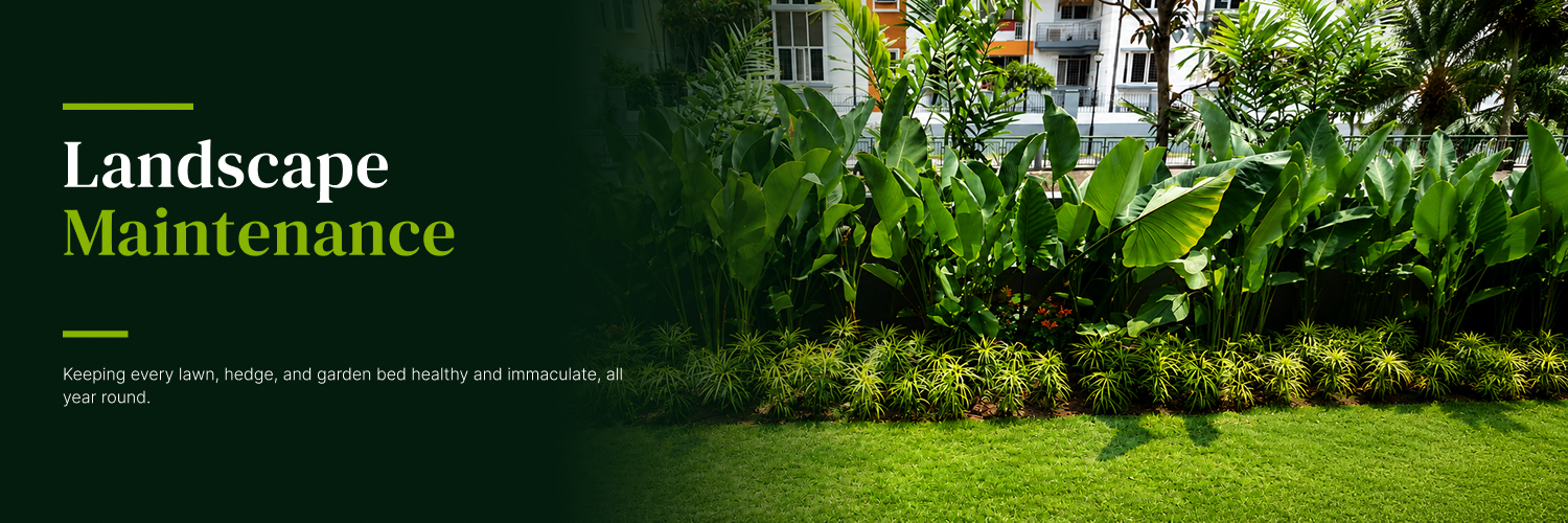 Landscape Maintenance