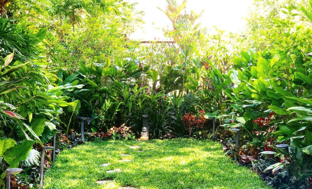Landscape Design and Constrction