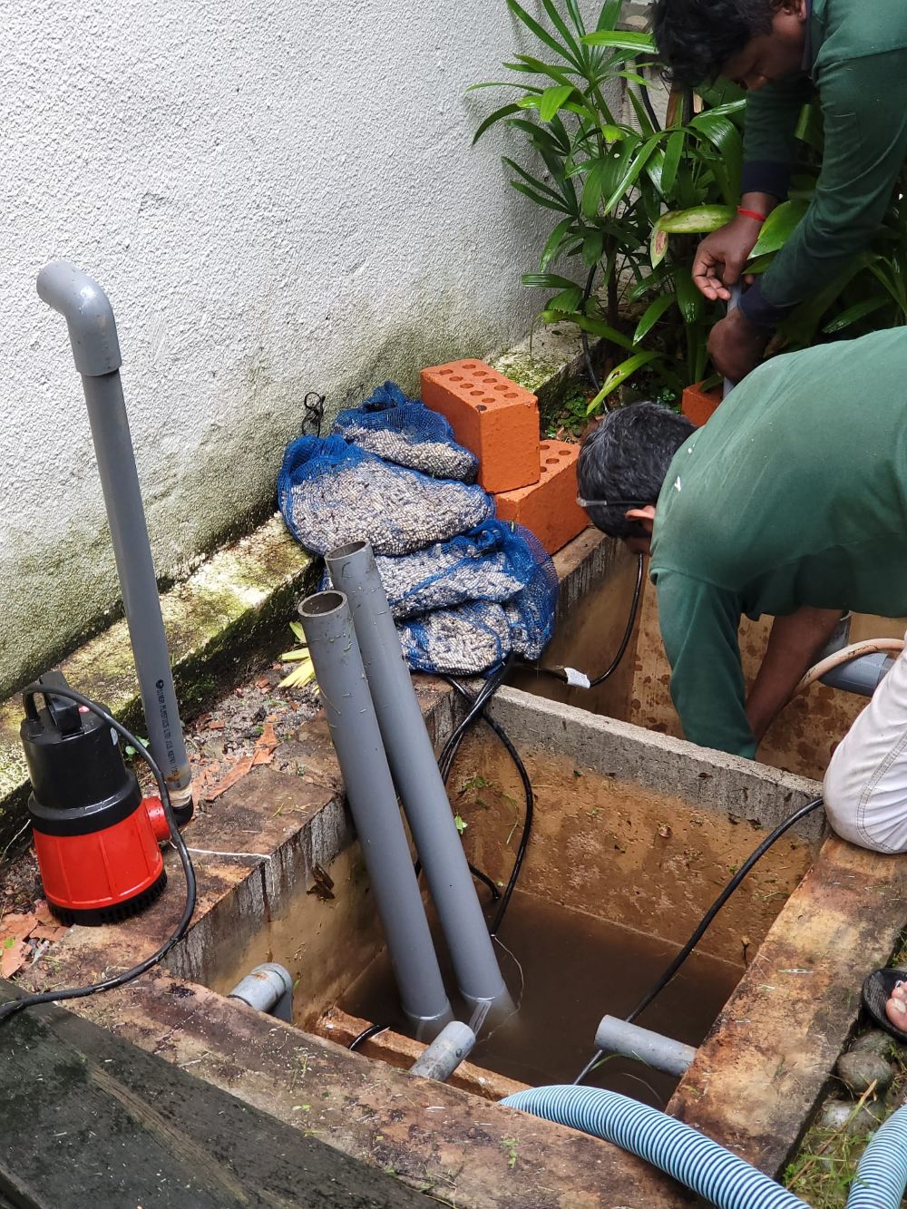 Pond Maintenance 