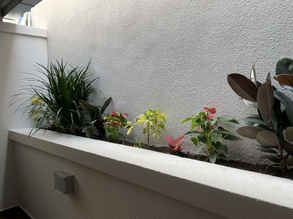 Landscape Design and Construction 