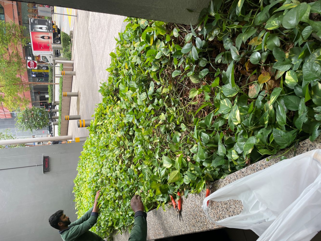 Commercial Landscaping 