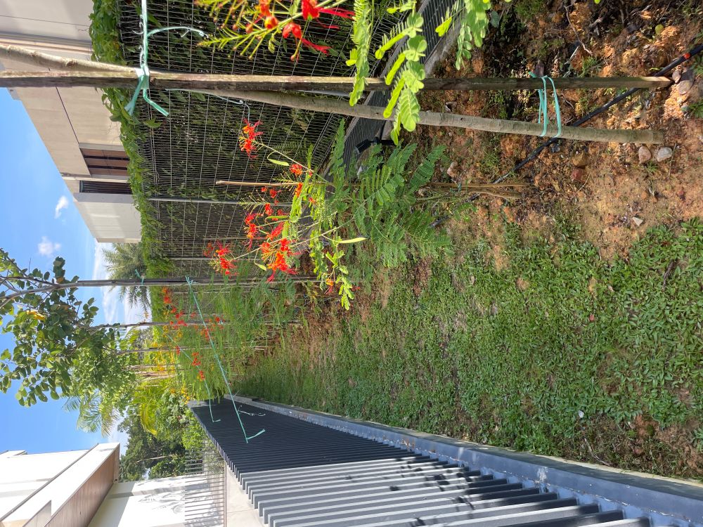 Landscape Design and Construction 