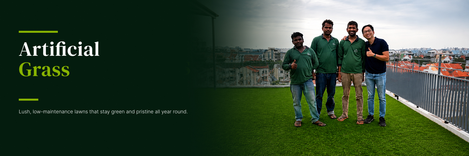 Artificial Grass