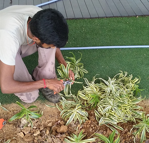 landscaping services 1