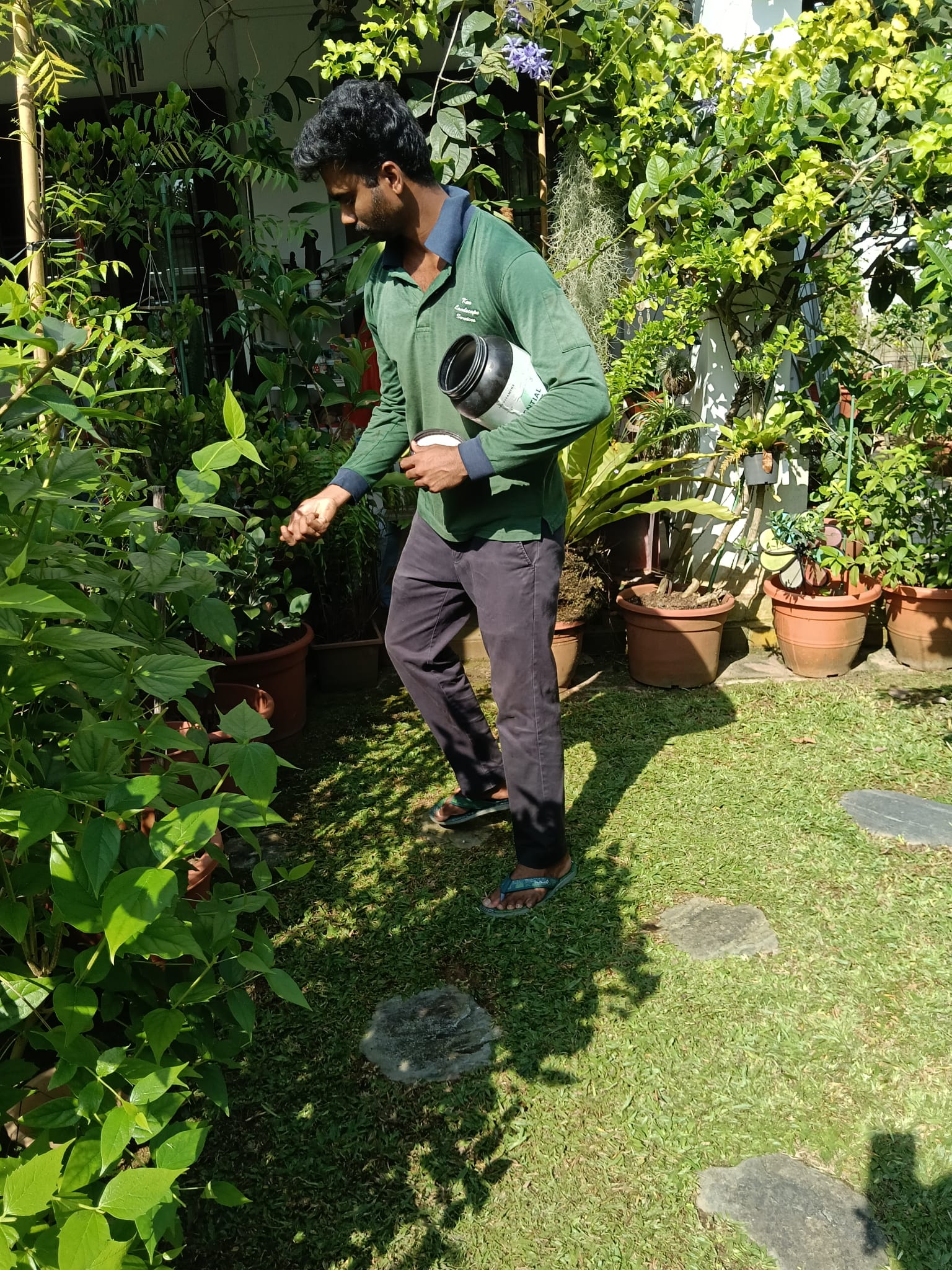 Fertilizers Landscaping 3