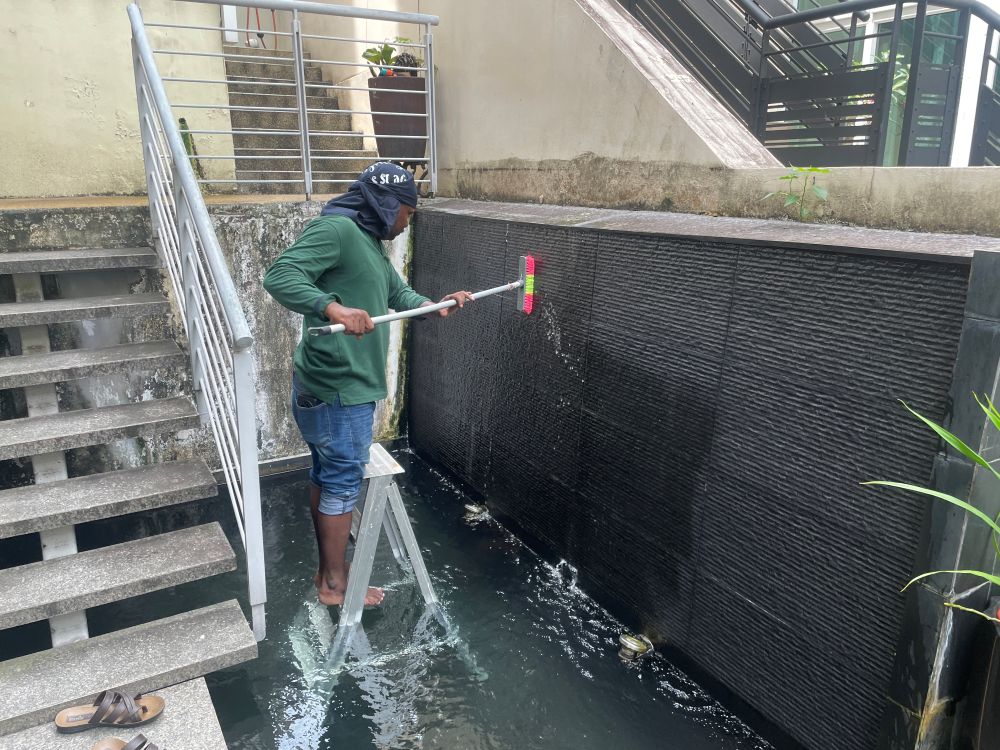 Pond Maintenance 