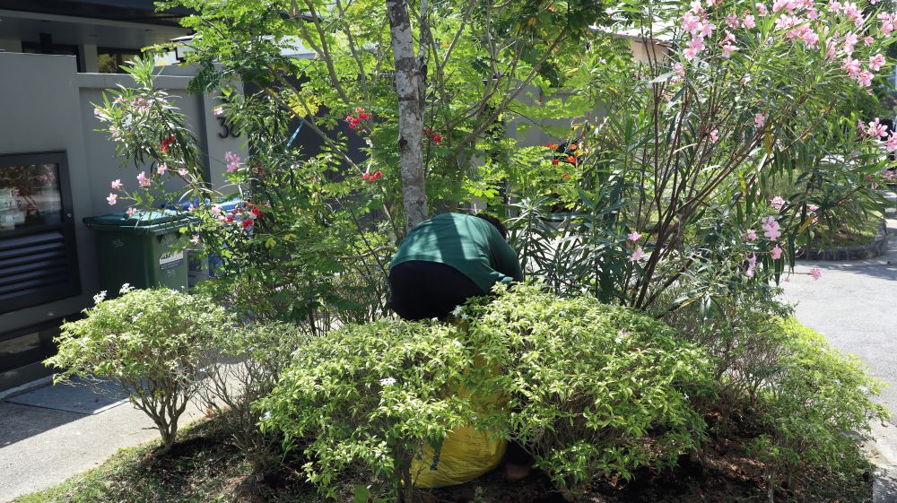 Private Residential Landscape Maintenance 