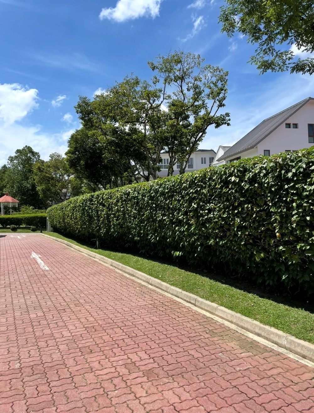 Commercial Landscaping 