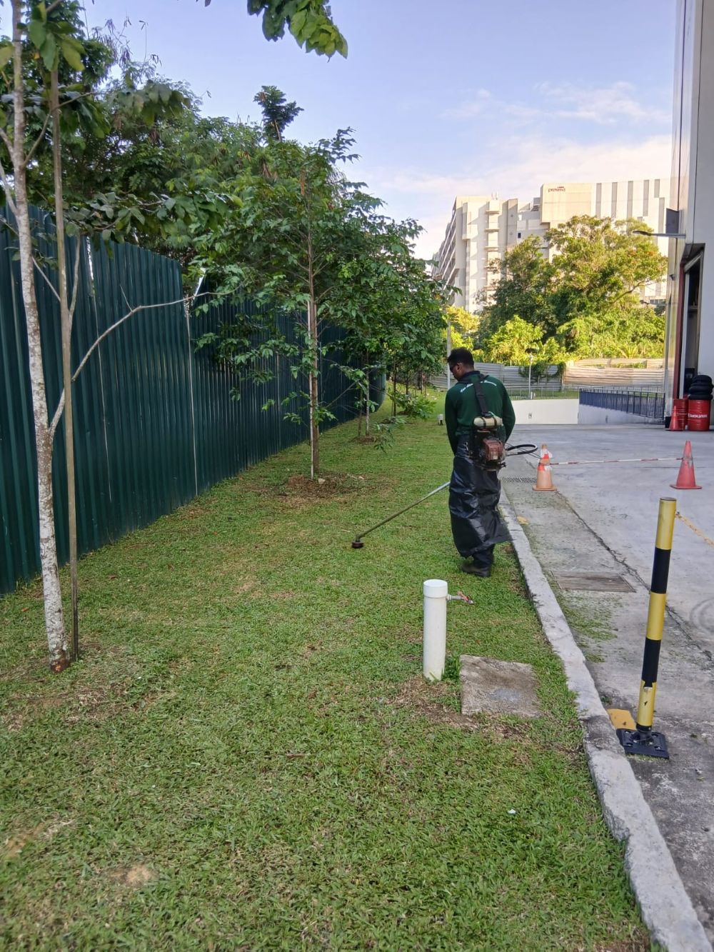 Commercial Landscaping 