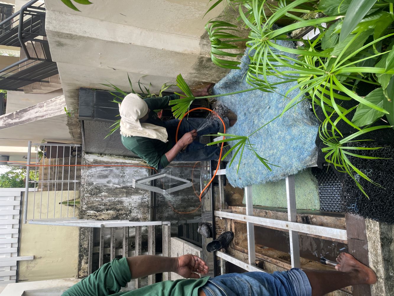 Pond Maintenance 