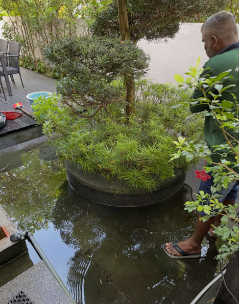 Pond Cleaning Services