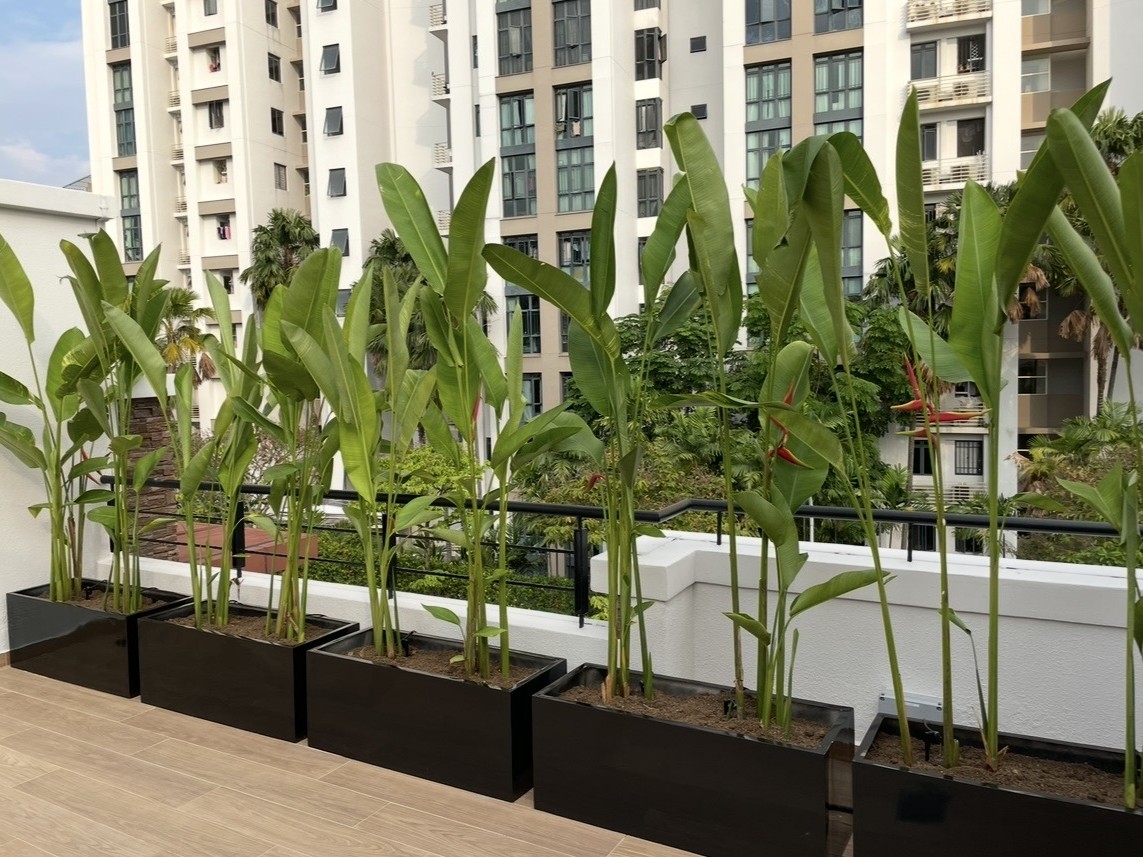 Landscape Design and Construction