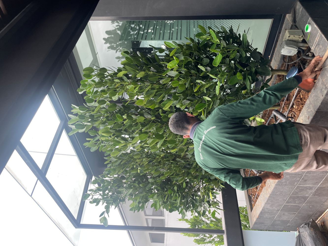 Landscape Design and Construction 