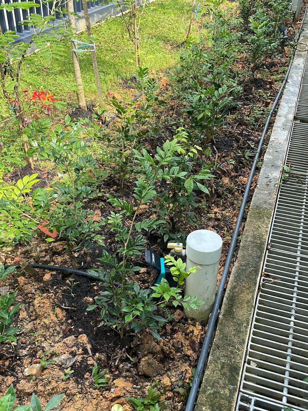 Irrigation System 