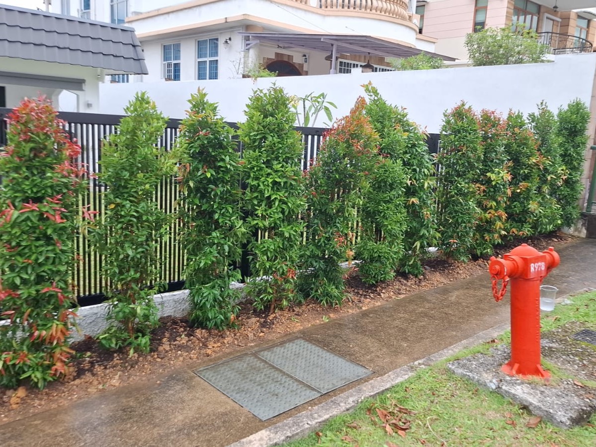 Landscape Design and Construction