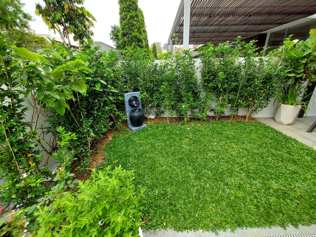 Landscape Design and Construction