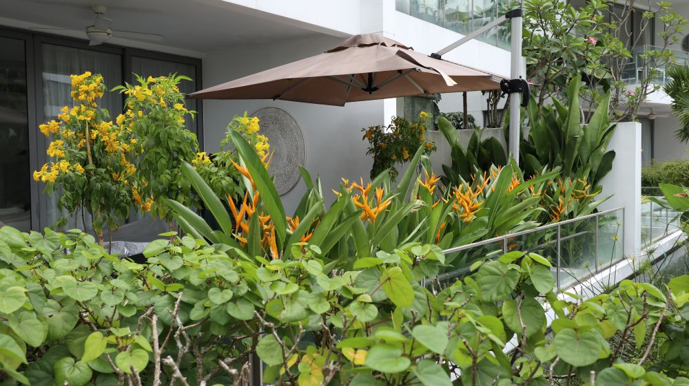 Landscape Design and Construction 