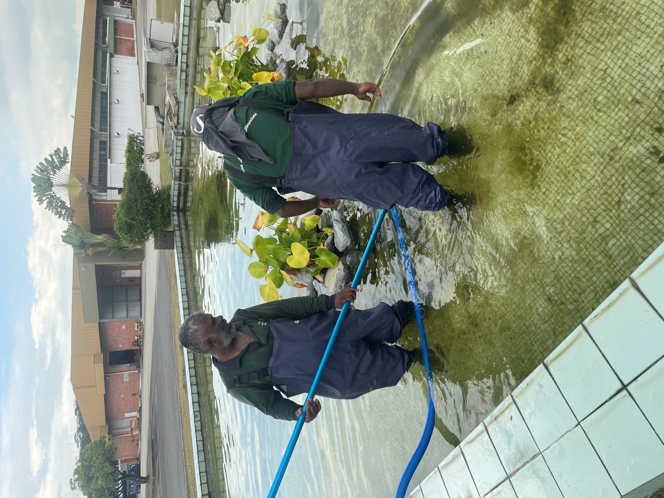 Pond Maintenance 