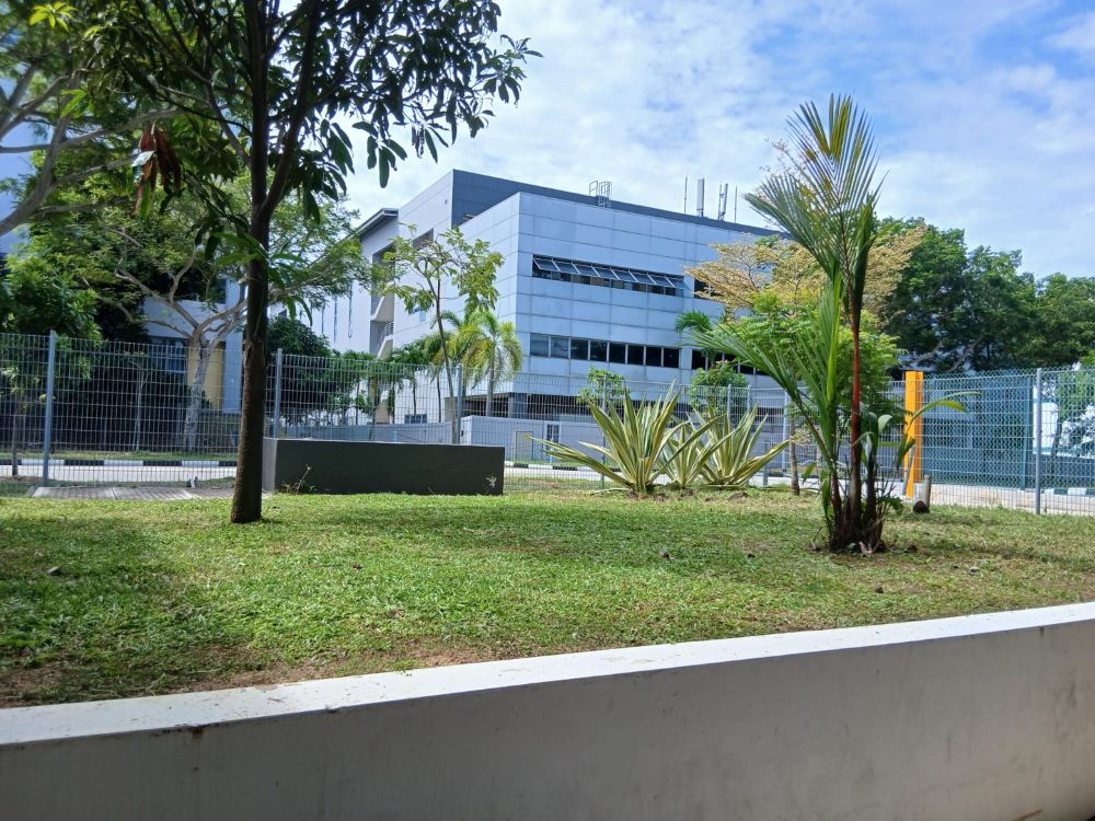 Commercial Landscaping 