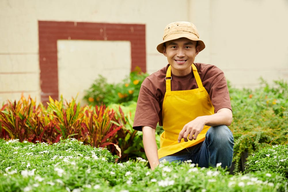 gardening services in Singapore gardening services in Singapore