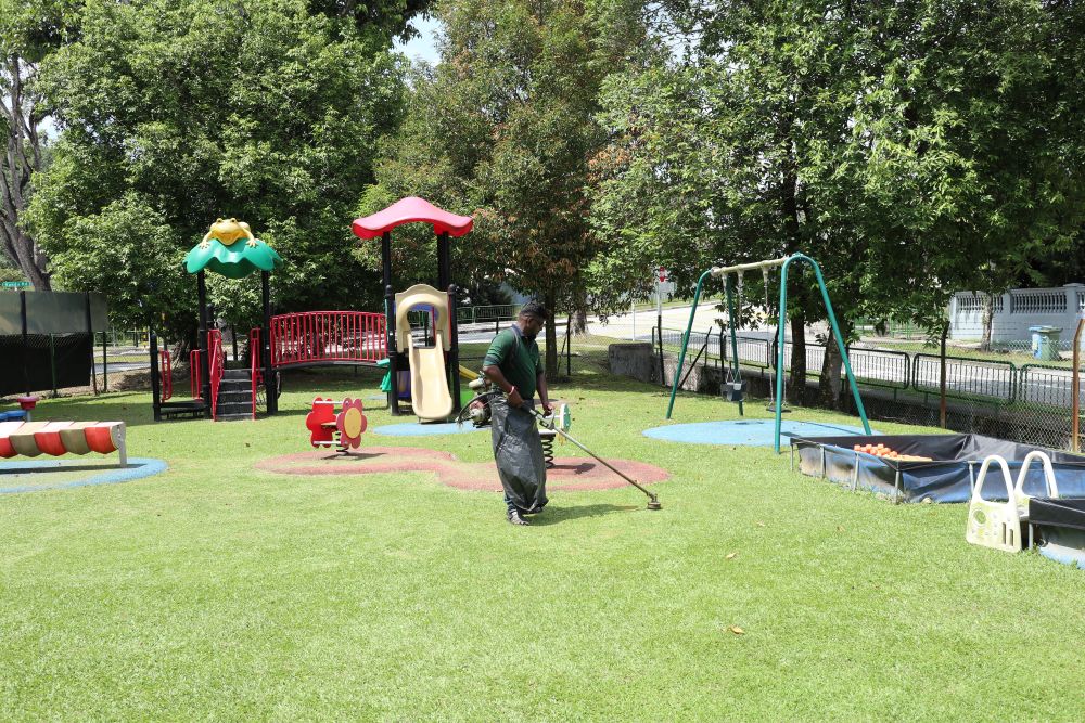Grass Cutting & Weeding