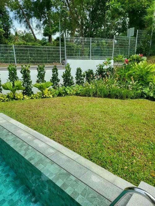 Grass Cutting Services