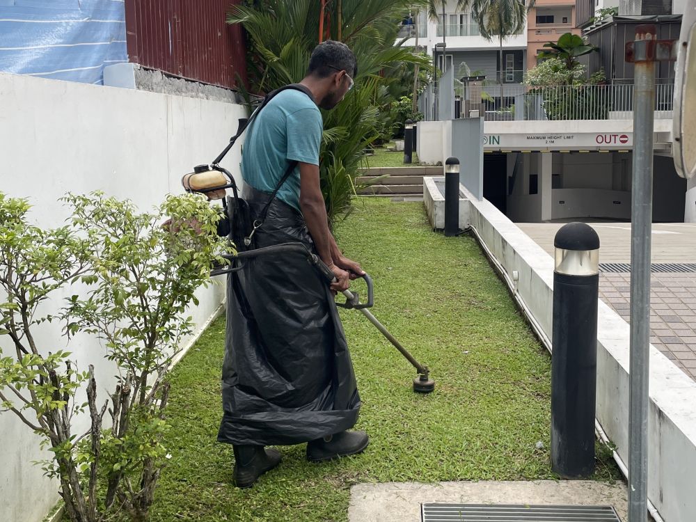 Grass Cutting Gardening Services 4
