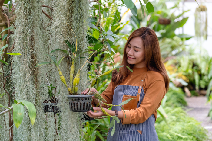 landscaping services Singapore