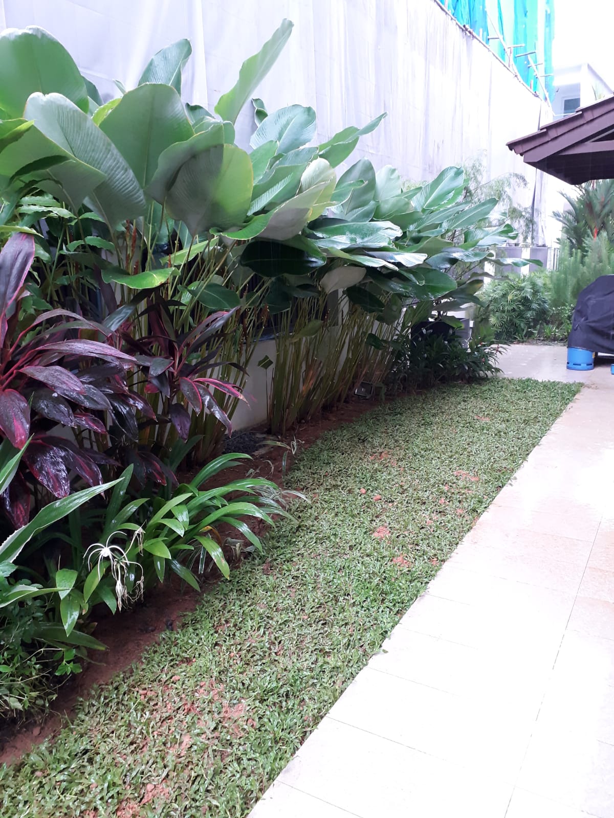 Landscaping Services Singapore