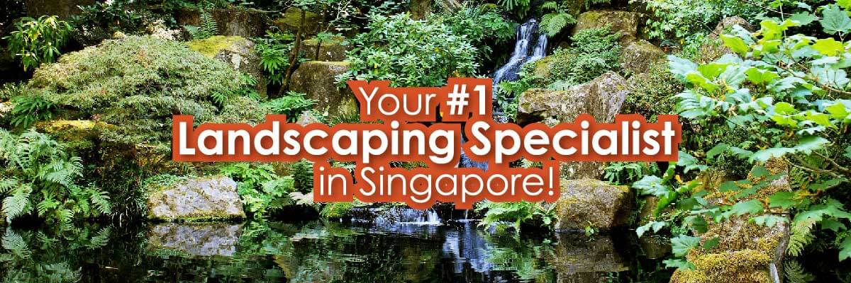 Landscaping Singapore Slide 1