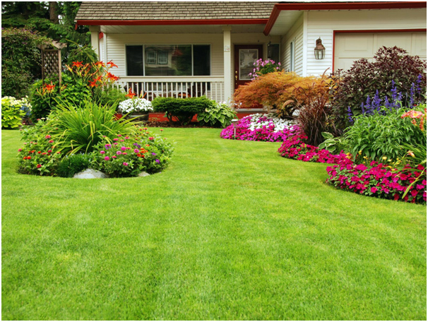 Lawn care services as part of landscaping in Singapore