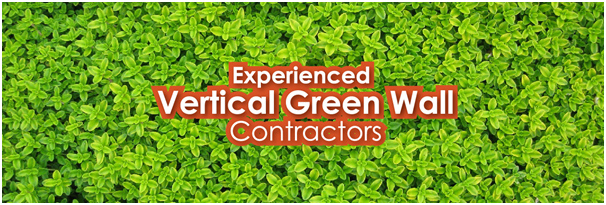 A vertical green wall landscape by Ken Landscape Service