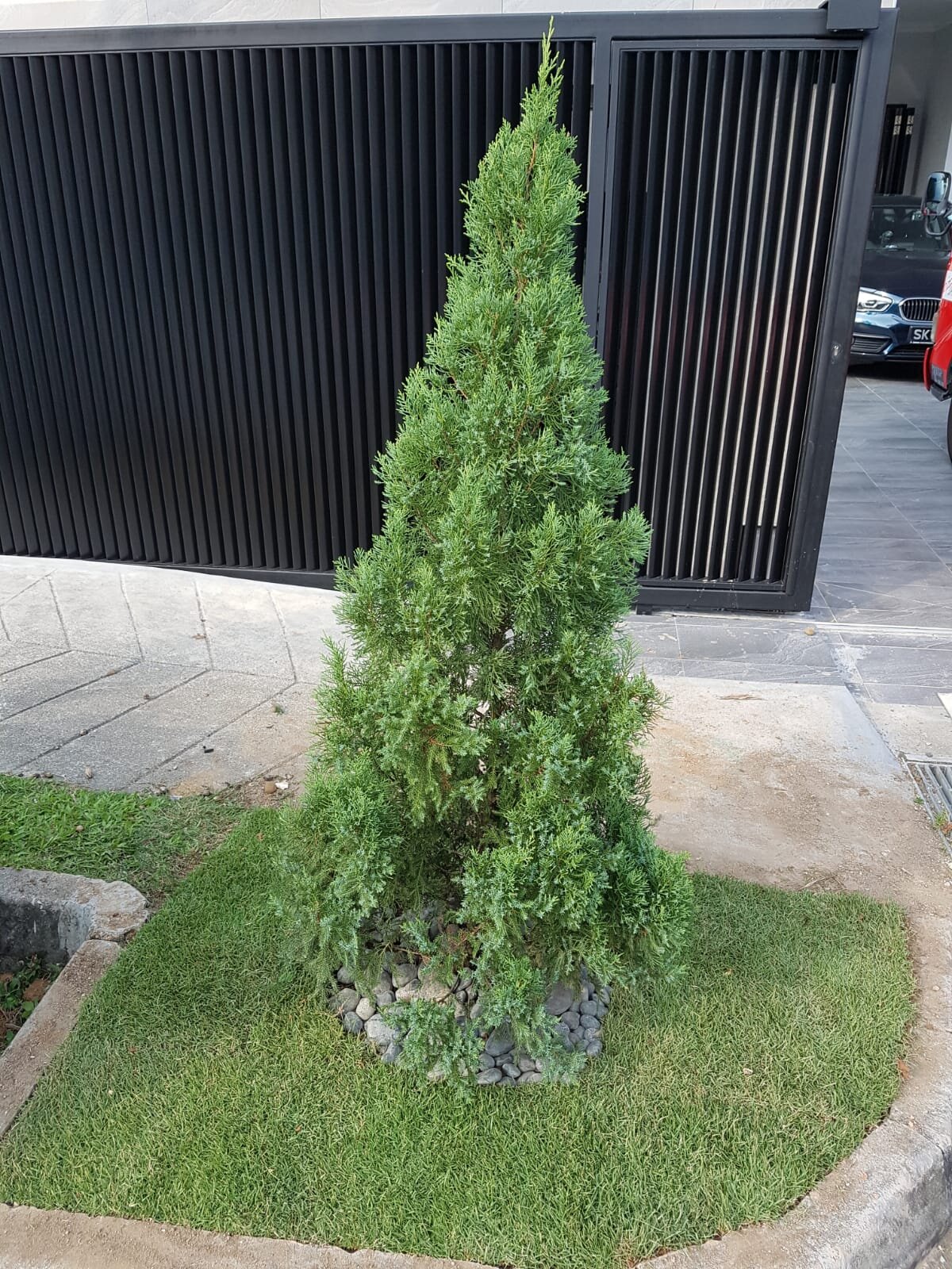 Grass Cutting Gardening Services 1