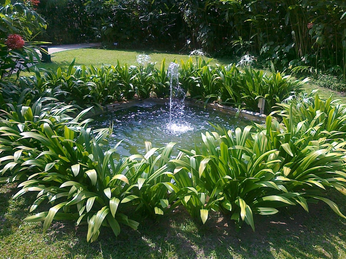 Grass Cutting Gardening Services 1